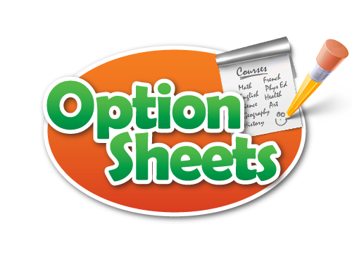 Image result for option sheets